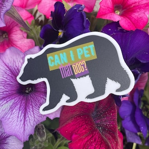 Can I Pet That Dog Sticker, Bear Viral Video Decal, Funny Sticker, Meme Lover, Tumbler Water Bottle Sticker, Laptop Sticker, Vinyl Sticker