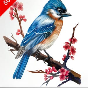 May include: A detailed illustration of a bluebird perched on a branch with pink blossoms. The bird has blue and orange plumage. A red banner in the corner says "50% OFF".