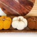 see more listings in the Thanksgiving and Fall section