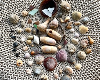 Beach Crafter's Special 2