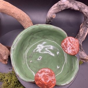 Peut inclure: Un bol en céramique vert avec un bord ondulé et deux cercles en céramique rouge à l'extérieur. Le bol est posé sur un lit de mousse verte.