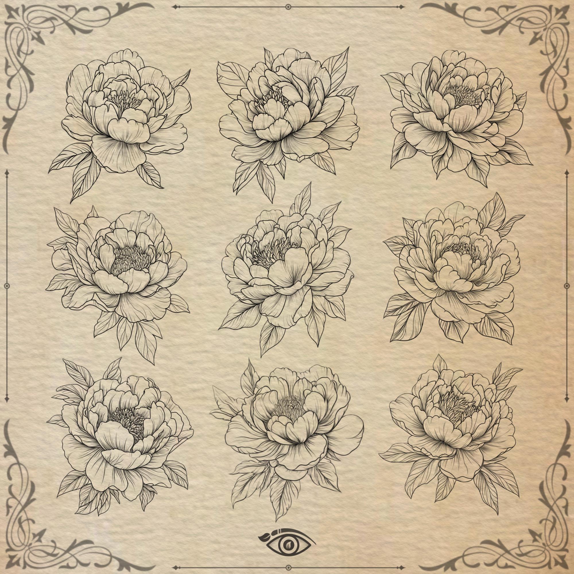 Procreate Peony Brush Stamps - Peony Procreate Brushes - Procreate ...
