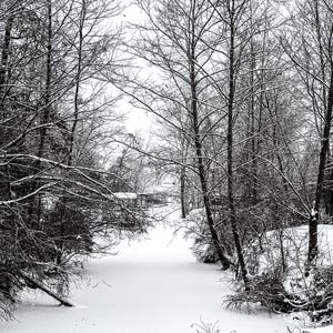 Snowy Creek