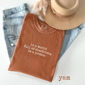 May include: A rust-colored t-shirt with the text "in a world full of electrons, be a proton" in white. The shirt is paired with light blue jeans, a beige hat, and a gold necklace. The word "yam" is at the bottom.
