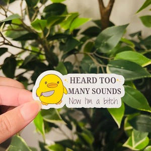 May include: A sticker with a yellow cartoon duck wielding a knife. The sticker reads "HEARD TOO MANY SOUNDS Now I'm a bitch" in white text. The sticker is set against a backdrop of green foliage.