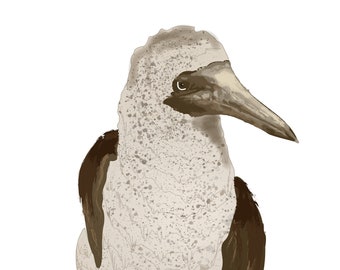 Blue Footed Booby Bird Sticker