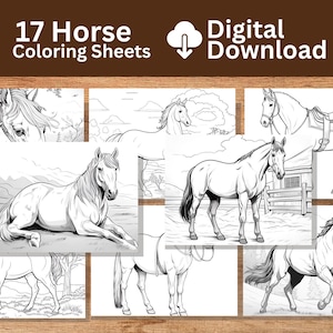 Horse Coloring Pages 17 Printable Pages for Horse Coloring  - Horse Coloring Pages for Teens, Kids, INSTANT Download PDF, PNG