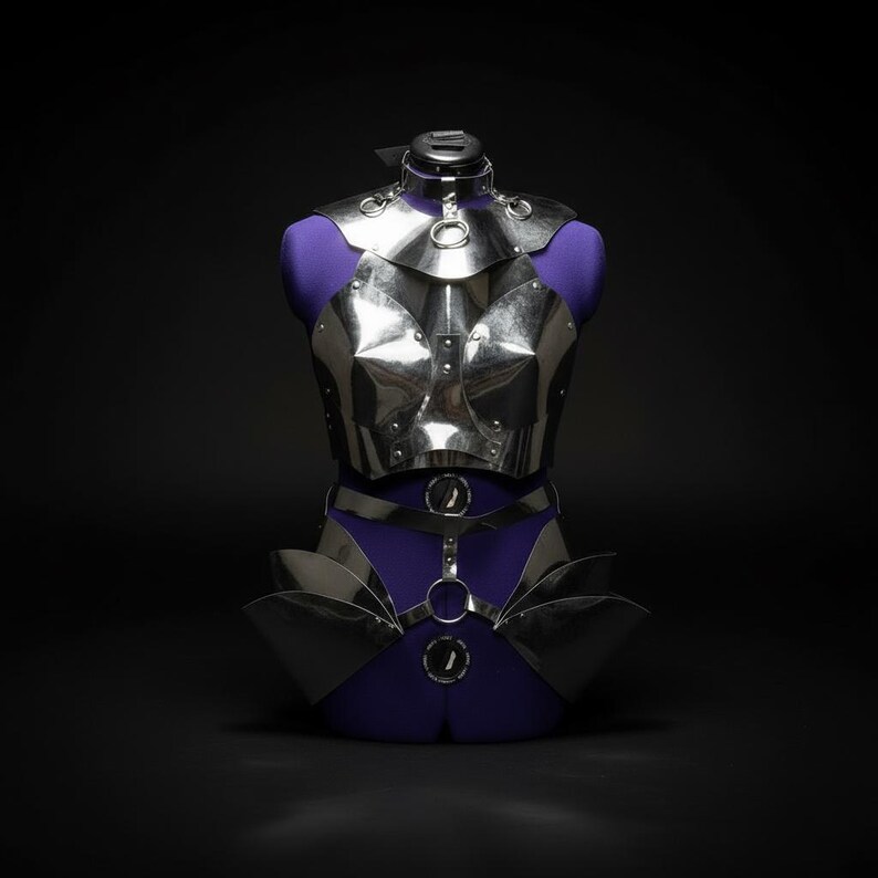 May include: A silver-colored metal chest and waist armor set displayed on a purple dress form. The armor features a series of geometric plates and circular accents. The background is black.