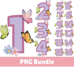 Schmetterling Zahlen PNG Sublimationsdateien, Blumen-Geburtstagszahl 1-16 Clip Art, Mädchen-Kuchendeckel-Geburtstagsdekoration, Cricut-Druckdesign-Datei