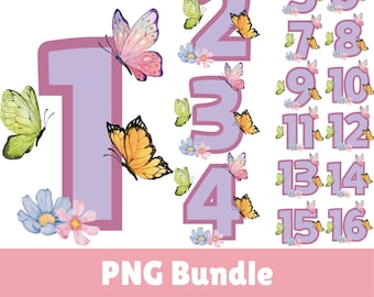 Butterfly Birthday Numbers 1-16 PNG Clipart (Digital Download)