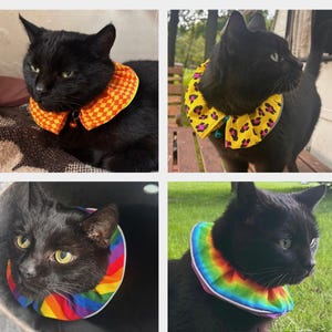 Halsband katze - Etsy.de