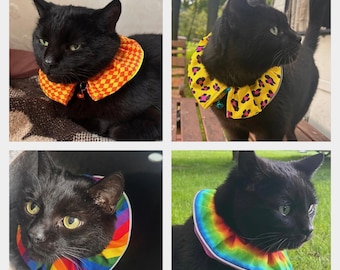 Bird anti-hunt cat collar