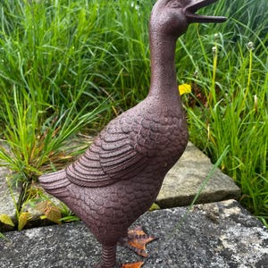 May include: A brown cast iron duck statue with an open beak, standing on a stone surface. The duck has detailed feather textures and orange-toned feet. The background features green grass and foliage.