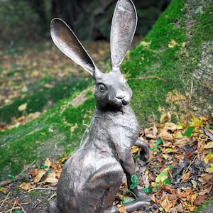 Bronze garden Hare sculpture