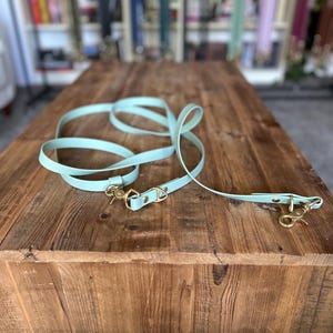 Puede incluir: Una correa para perro de color azul claro con herrajes dorados. La correa está enrollada sobre una superficie de madera.