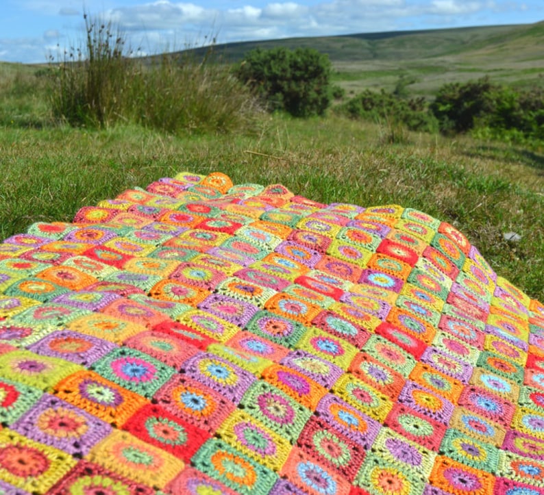 Cornucopia   Crochet Afghan/Blanket  PDF CROCHET PATTERN image 3