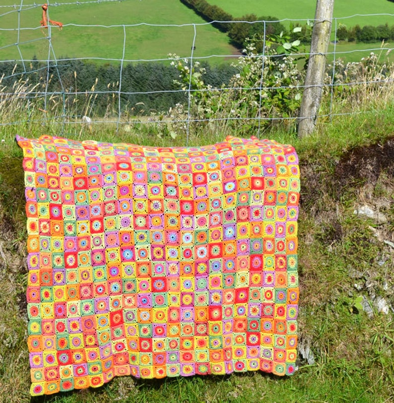 Cornucopia   Crochet Afghan/Blanket  PDF CROCHET PATTERN image 2