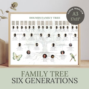 May include: A framed Holmes Family Tree chart featuring six generations of genealogical data, including names, dates, and locations. The design includes a light gray tree illustration, a butterfly, a bird, and a circular badge stating CANVA TEMPLATE A3 17x11".