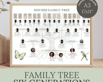 May include: A framed Holmes Family Tree chart featuring six generations of genealogical data, including names, dates, and locations. The design includes a light gray tree illustration, a butterfly, a bird, and a circular badge stating CANVA TEMPLATE A3 17x11".