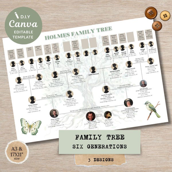 Albero genealogico di sei generazioni: modello Canva modificabile per la ricerca sulla storia familiare.