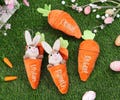 Personalized Easter Bunny Rabbit,Reversible Carrot Bunny,Custom Stuffed Animal Rabbit,Carrot Keychain with Bunny,Easter Gifts for Boys Girls