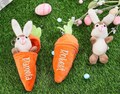 Personalized Easter Bunny Rabbit,Custom Stuffed Animal Rabbit,Reversible Carrot Bunny,Carrot Keychain with Bunny,Easter Gifts for Boys Girls