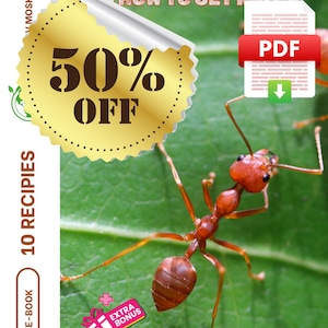 Pest control pet friendly organic pest control pesticide insects control environmentally safe pesticide