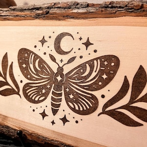 Placa de polilla pirograbada • Quemada a mano sobre madera de tilo natural