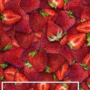 Quilting Treasures, Dan Morris, &quot;Fresh&quot; Strawberries 28460-R Fruit Fabric Priced Per 1/2 Yd