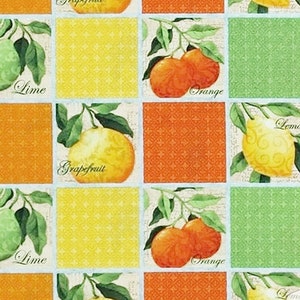 Citrus Grove 25485 SPX Steve Haskamp Fruit Lemon Lime Orange Fabric Priced @ 1/2 Yd