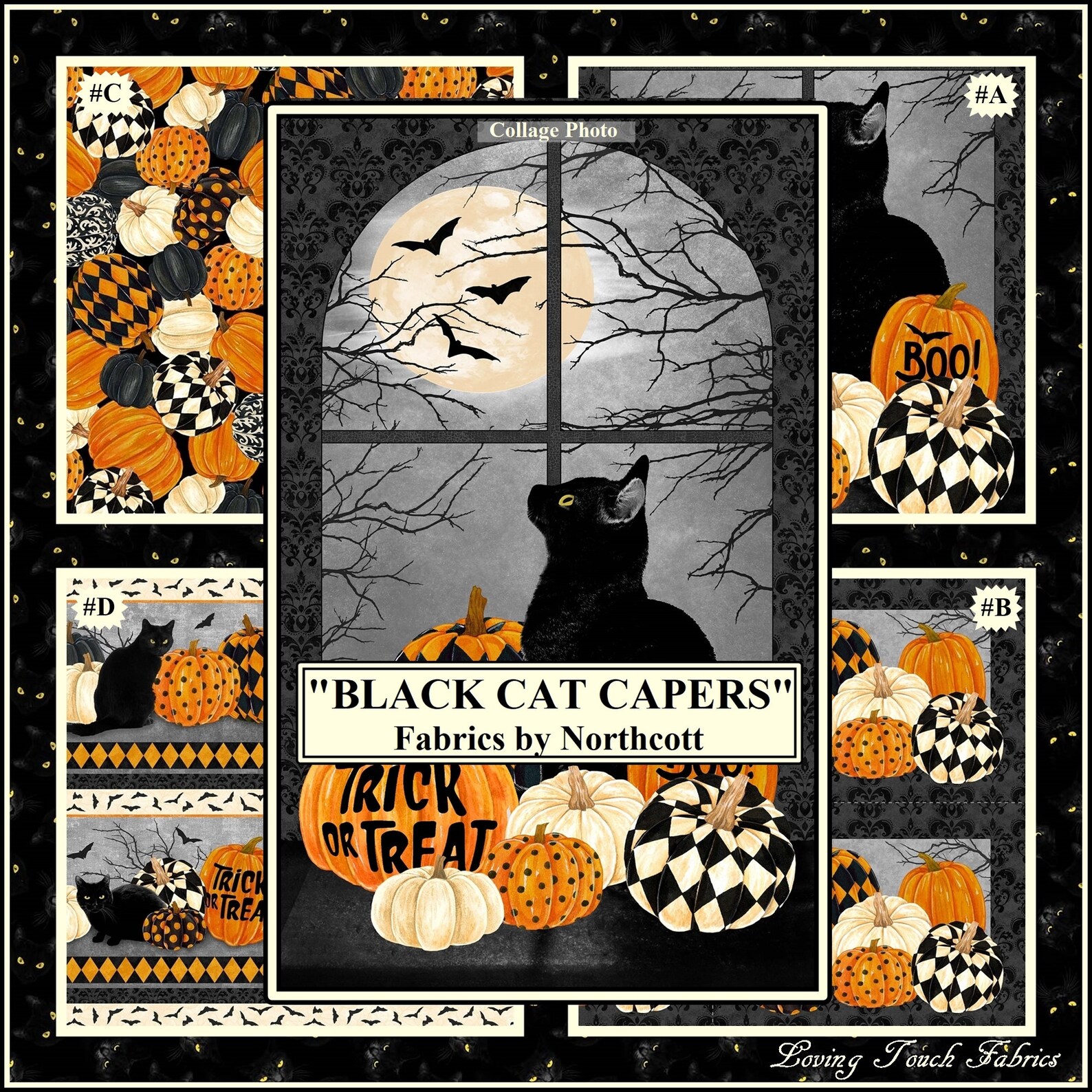 Northcott Black Cat Capers Halloween Pumpkins Etsy