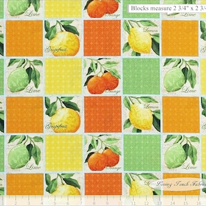 Citrus Grove 25485 SPX Steve Haskamp Fruit Lemon Lime Orange Fabric Priced @ 1/2 Yd