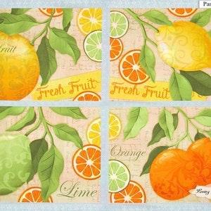 Citrus Grove SPX Steve Haskamp Fruit Lemon Lime Orange Placemat Fabric Panel 23&quot;x43&quot;