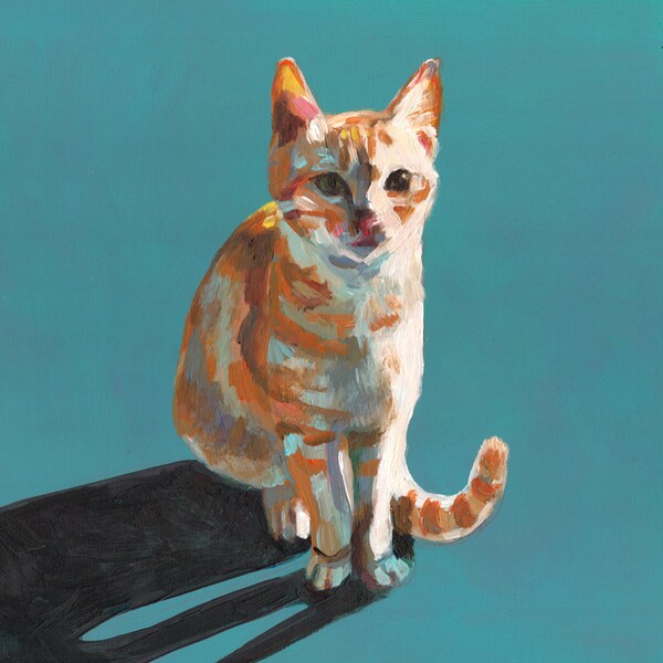 Orang cat - cats paintings  -  Pets Original - painting on mdf- art painting - animal painting