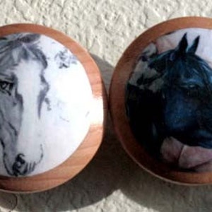 Drawer knobs The Four Horses 4 pc Set image 2
