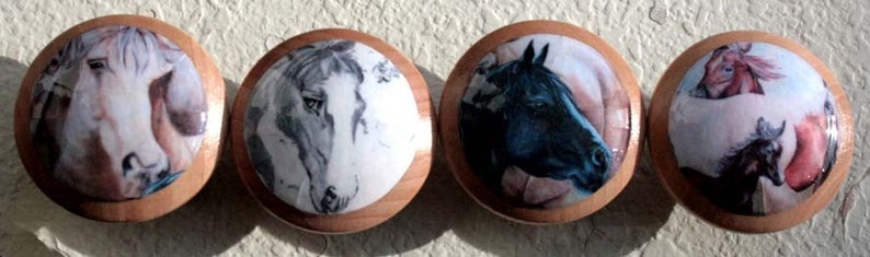 Drawer knobs The Four Horses 4 pc Set image 2