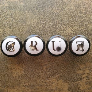 以下が含まれることがあります： 「CRUZ」と綴られた4つの白黒の引き出しノブ。各ノブには文字と動物のイラストが描かれています。猿、ウサギ、ウニ、シマウマです。ノブは、質感のある茶色の背景に配置されています。