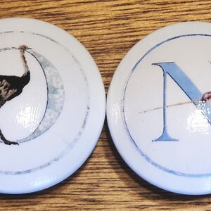 May include: Four white ceramic cabinet knobs with animal and letter designs. The knobs feature a tiger with the letter "T", an ostrich, a narwhal with the letter "N", and a yak with the letter "Y". Each knob has a blue border.