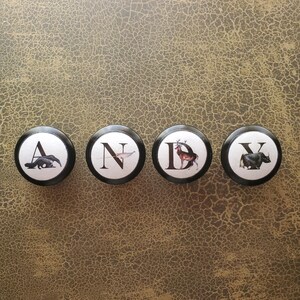 以下が含まれることがあります： 「ANDY」と書かれた4つの丸いキャビネットノブ。各ノブは黒い縁と白い中心部があり、文字と動物のイラストが描かれています。文字はA、N、D、Yです。動物はクマ、鳥、シカ、ヤクです。