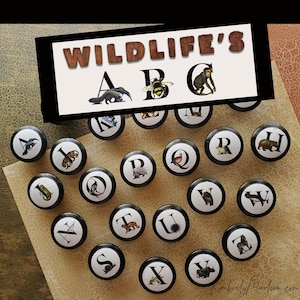 Alphabet knobs, Solid Black filled letters, door pulls and home design 画像 1