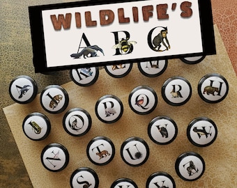 Alphabet knobs, Solid Black filled letters, door pulls and home design