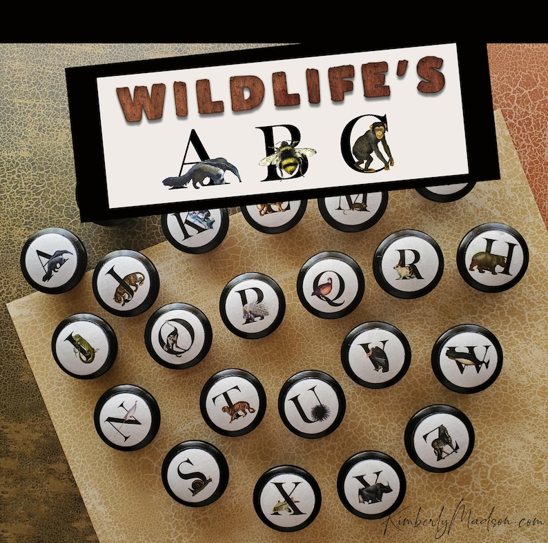 Alphabet knobs, Solid Black filled letters, door pulls and home design 画像 1