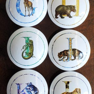 May include: Six white ceramic cabinet knobs with animal illustrations and letters. The knobs feature a giraffe, bear, iguana, leopard, koala, and lion. Each animal is paired with a letter of the alphabet.