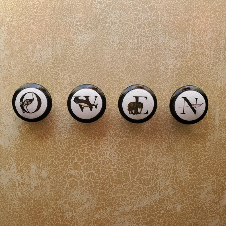 以下が含まれることがあります： 黒い縁と白い中心部を持つ4つの装飾的なキャビネットノブ。各ノブには文字と動物のイラストが描かれています。ダチョウ、クジラ、ゾウ、鳥です。ノブは、テクスチャ加工されたベージュ色の背景に並んで配置されています。