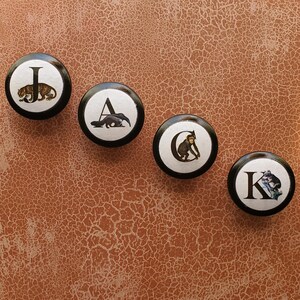 以下が含まれることがあります： 黒い縁と白い中心を持つ4つの丸いキャビネットノブ。 各ノブには、文字と動物のイラスト（ヒョウ、アリクイ、サル、コアラ）が描かれています。 ノブは、質感のある茶色の表面に配置されています。