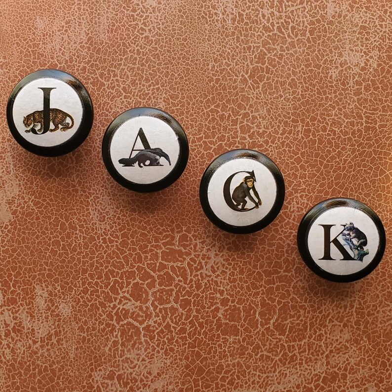 以下が含まれることがあります： 黒い縁と白い中心を持つ4つの丸いキャビネットノブ。 各ノブには、文字と動物のイラスト（ヒョウ、アリクイ、サル、コアラ）が描かれています。 ノブは、質感のある茶色の表面に配置されています。