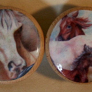 Drawer knobs The Four Horses 4 pc Set image 5