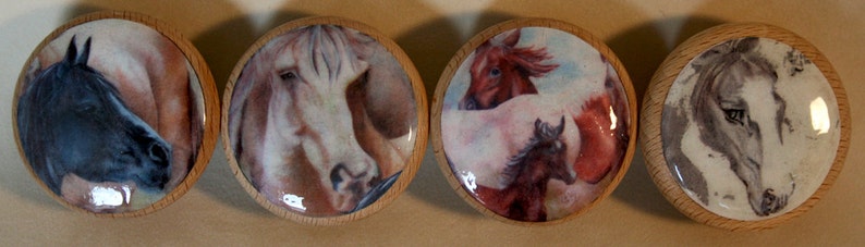 Drawer knobs The Four Horses 4 pc Set image 5