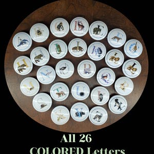 May include: A set of 26 decorative knobs, each with a letter of the alphabet and an animal illustration. The knobs are white and round, arranged on a dark wooden surface. The text at the bottom reads "All 26 COLORED Letters."
