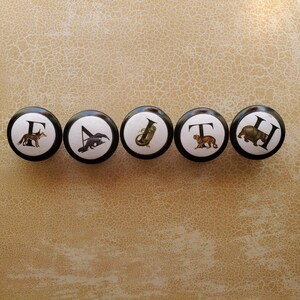 以下が含まれることがあります： 黒い縁と白い中心を持つ5つの丸いキャビネットノブ。各ノブには文字と動物のイラストが描かれています。キツネ、コウモリ、トロンボーン、トラ、カバです。ノブは、テクスチャ加工されたベージュ色の表面に並んでいます。